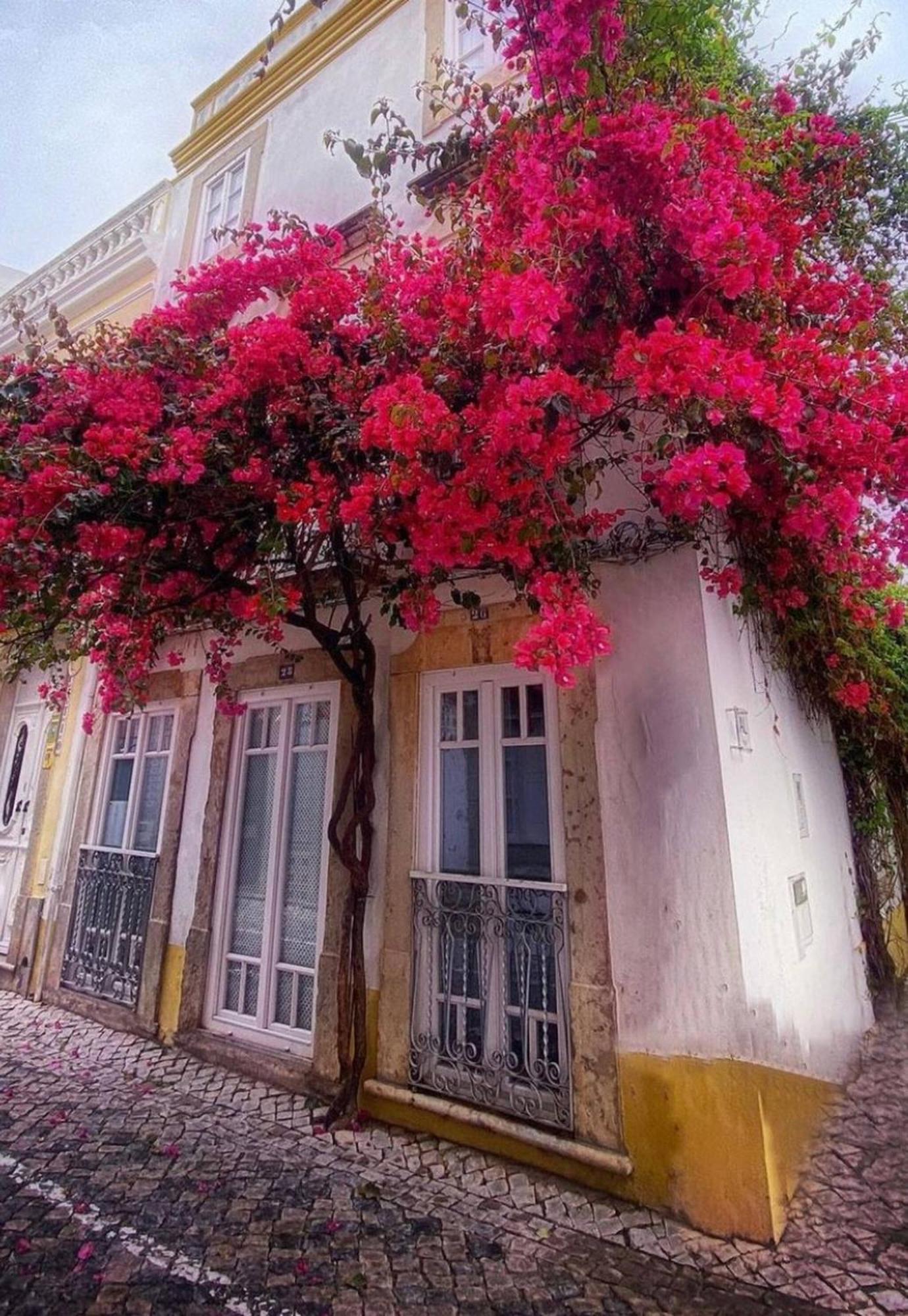 Stylish Studio Gilao In Taviras Historical Centre מראה חיצוני תמונה